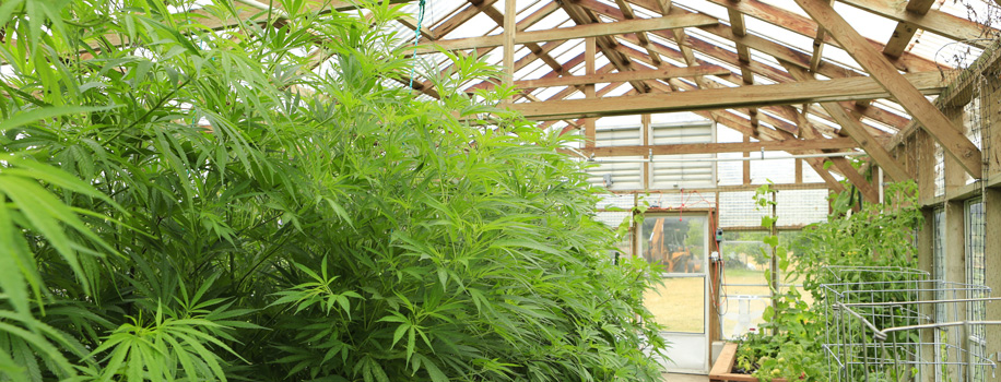 Security Solutions for Apartments in Uniontown, OH